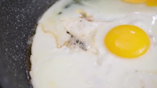 Closeup Shot Cooking Fried Eggs Non Stick Pan — Stock video