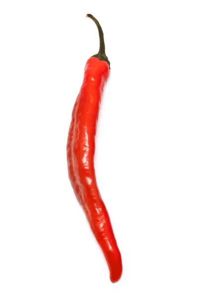 Červená Horká Chilli Paprika Izolované Bílém Pozadí Kvalitní Fotografie — Stock fotografie