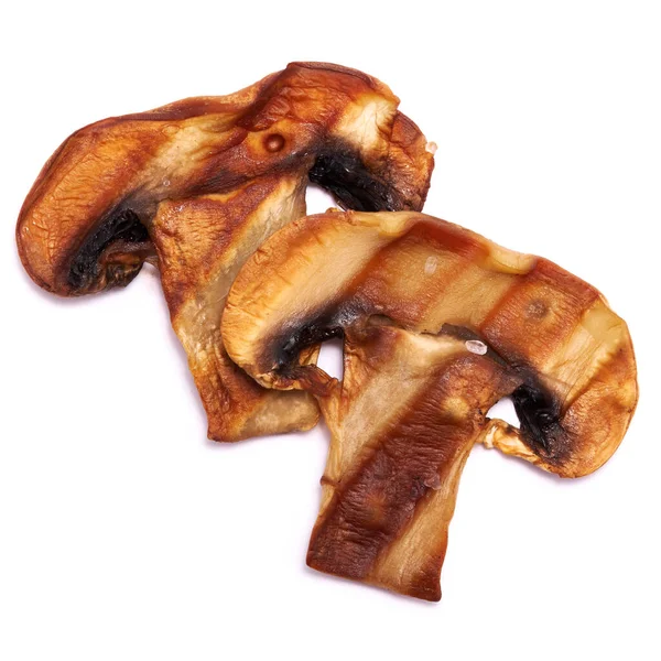배경에 고립된 쇠고랑에서 줄무늬가 버섯을 가느다란 — 스톡 사진