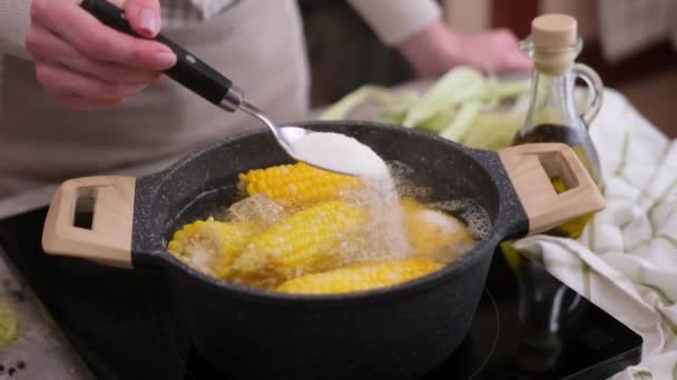 Corn Cobs Cooking Pot Boiling Hot Water — Stock Video