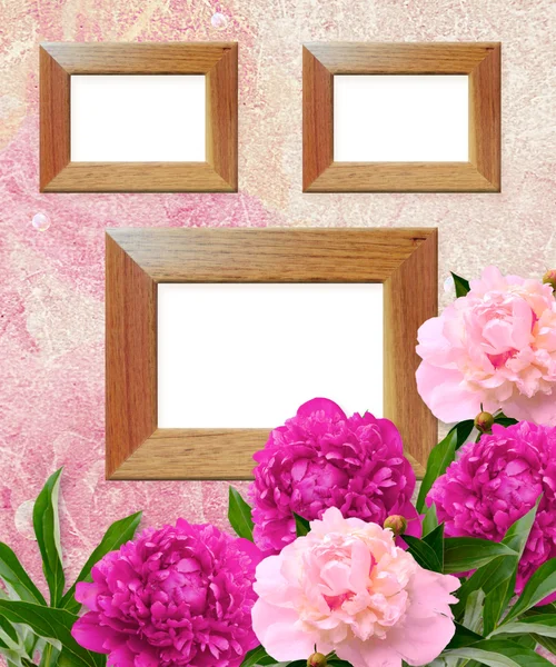 Wooden photo frames and peonies — Stock Photo, Image