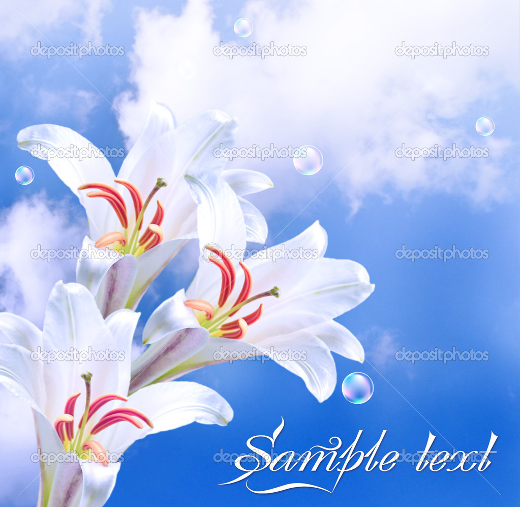 White lilies in the clouds