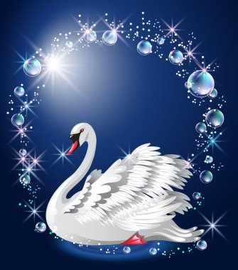 Elegant white swan and bubbles