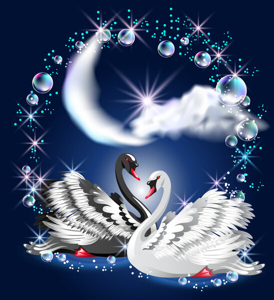 Two swans and moon