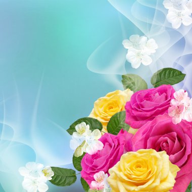 Sarı ve pembe güller