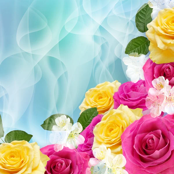 Gele en roze rozen — Stockfoto