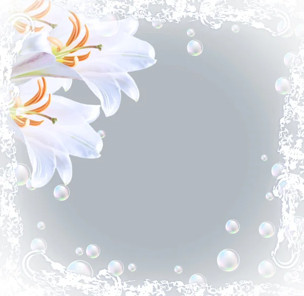 Liljor och bubblor — Stockfoto
