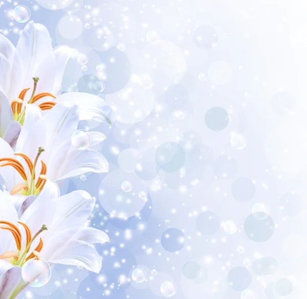 Lilies and stars — Stock Photo, Image