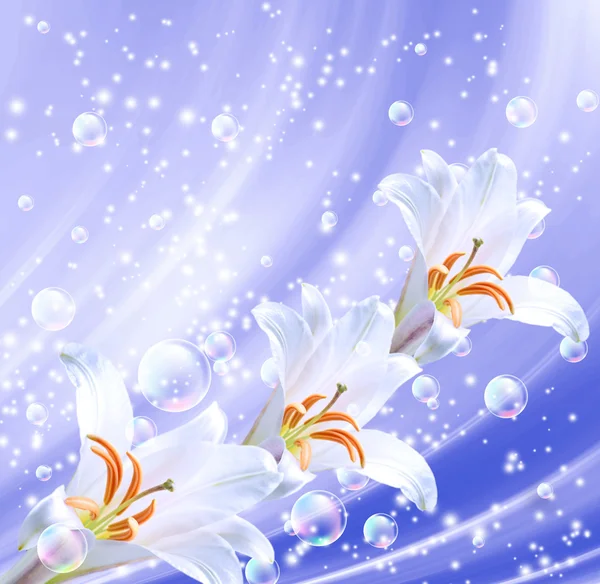 Lilies and bubbles — Stock Photo, Image