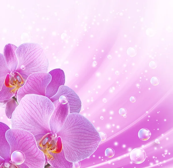 Orchid and bubbles — Stock Photo, Image