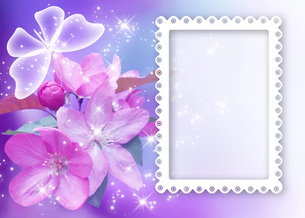 Sakura blossom with butterfly and photo frame — Stock Photo, Image