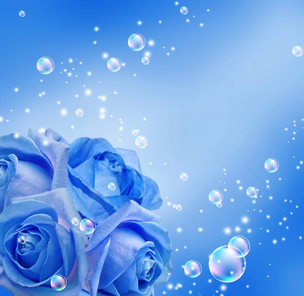 Roses and bubbles — Stock Photo, Image