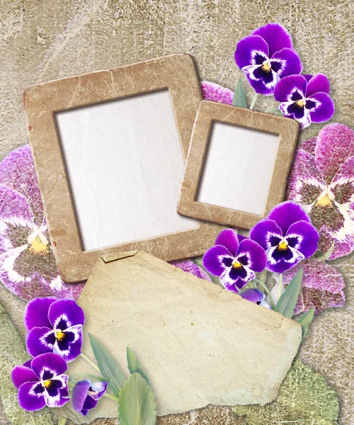 Grunge frame met viooltje en papier — Stockfoto