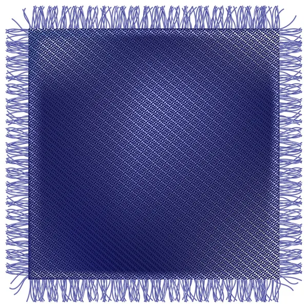 Jeans tissu avec frange — Image vectorielle