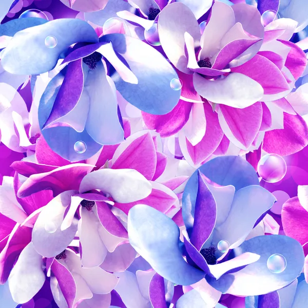Seamless pattern. Magnolia. — Stock Photo, Image