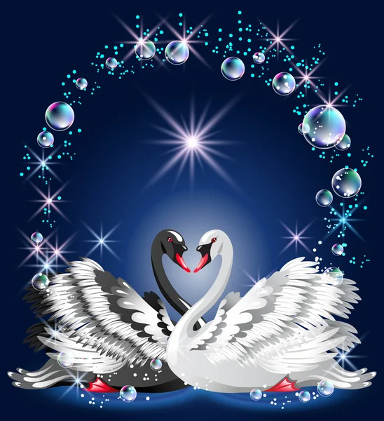 Elegant white and black swan — Stock Vector