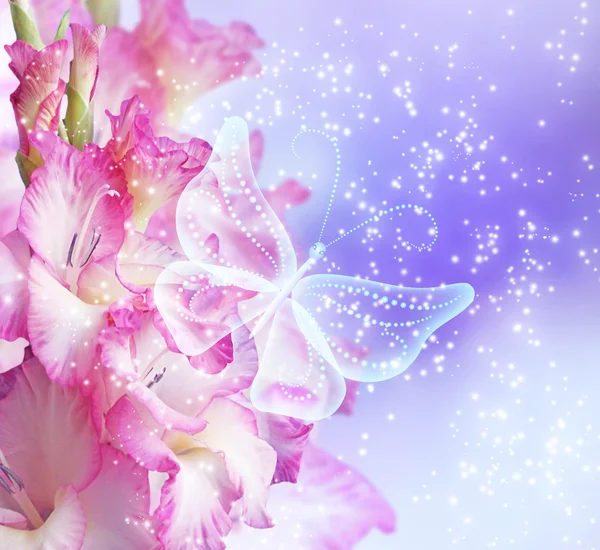 Gladiolus and butterfly — Stock Photo, Image