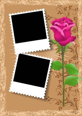 rose ile sayfa düzeni fotoğraf albümü