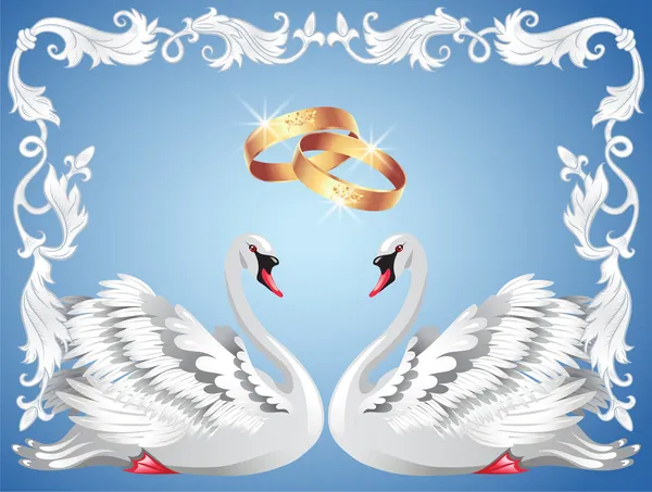 Anillos de boda y dos cisnes — Vector de stock