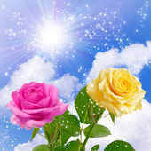 Картина, постер, плакат, фотообои "sun and flowers", артикул 46527103