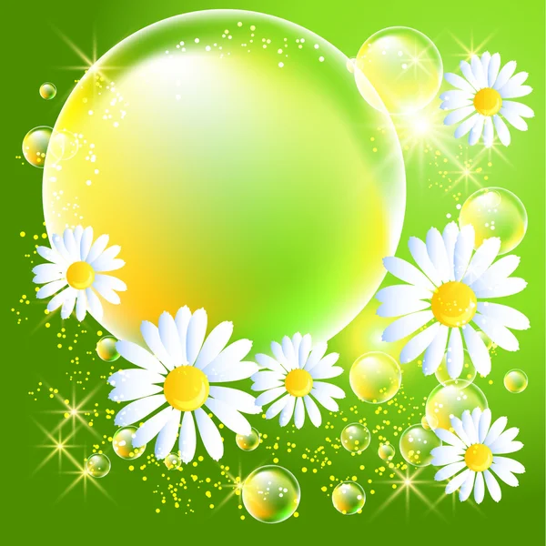 Bubbels en daisy — Stockvector