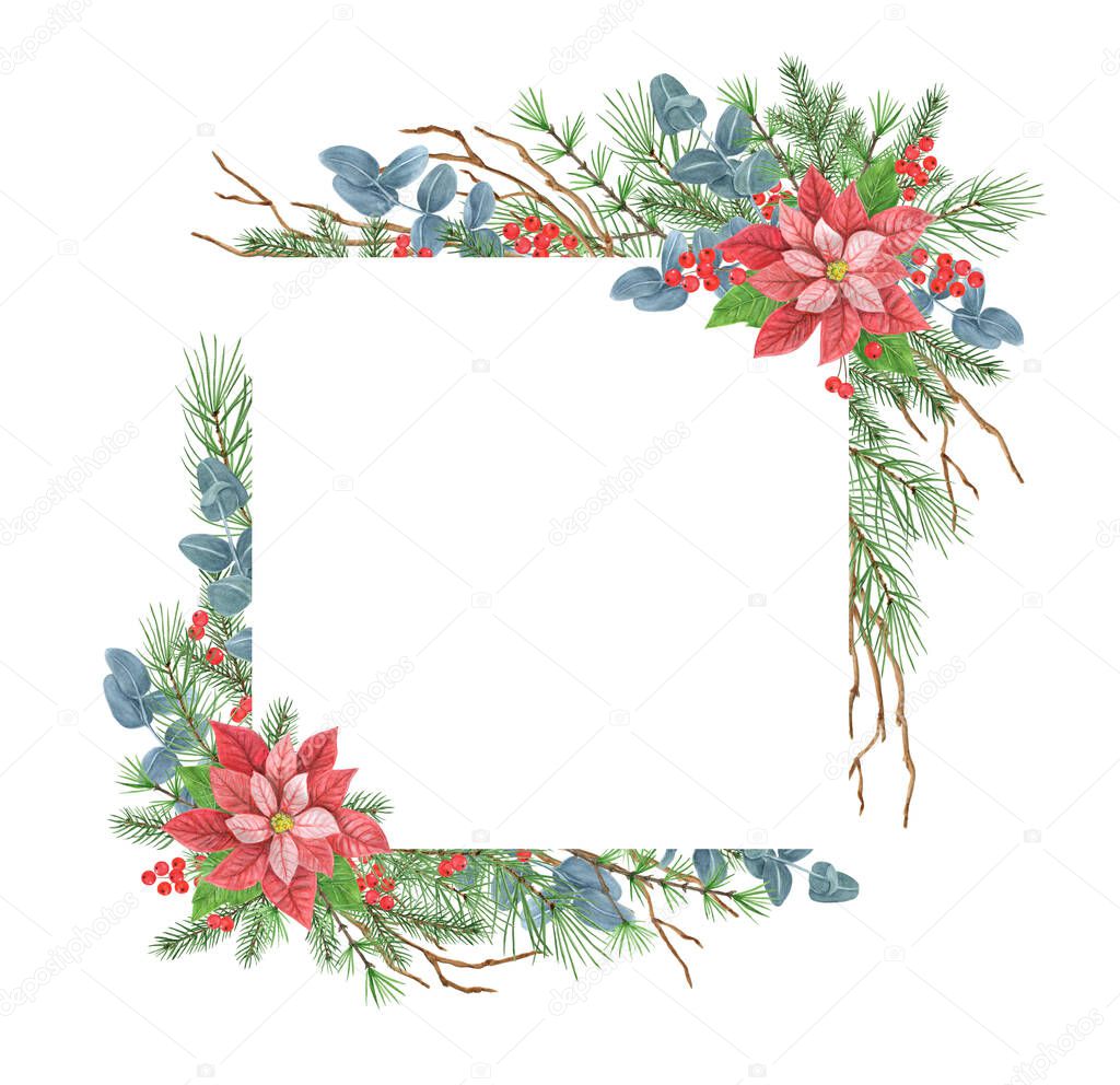 Christmas frame with poinsettia, greenery, spruce, pine tree twig and holly berries. New Year design ornate decoration garland. Isolate on white background.