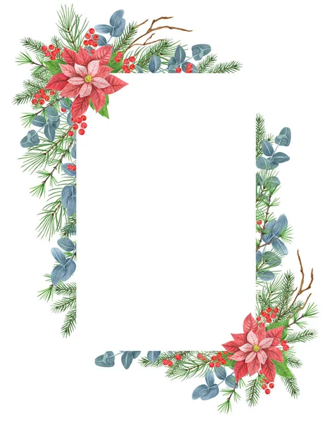 Cadre Noël Aquarelle Avec Poinsettia Verdure Épicéa Rameau Pin Baies — Photo