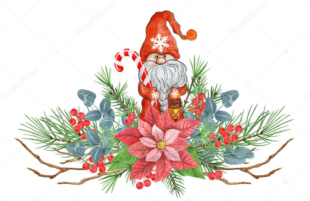 Christmas composition with Gnome, poinsettia, greenery, spruce, pine tree twig and holly berries. New Year design decor ornate decoration garland. Isolate on white background.
