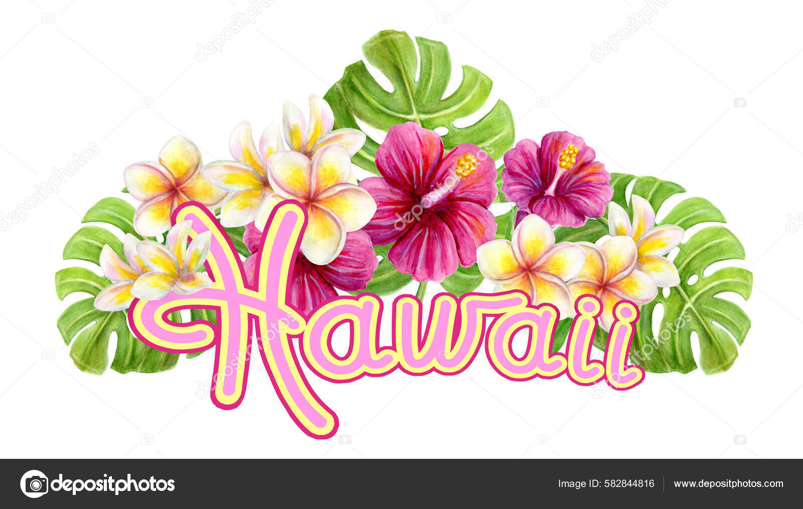 Decoración Artística Hawaii Pintura Acuarela Hawaiana Dibujada Mano Con  Flores Ilustración de stock #582844816 de ©Marisha, image size:1600x1015