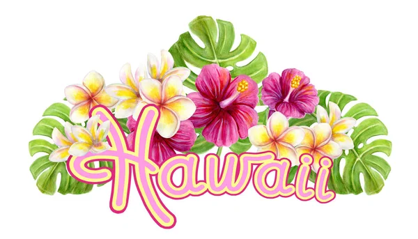 Hawaii sanat dekoru. Beyaz arka planda pembe Hibiscus gülü frangipani çiçekleri ve palmiye yaprağıyla el yapımı Hawaii suluboya resmi. Tropik yaz süsleri. Tasarım ögesi.