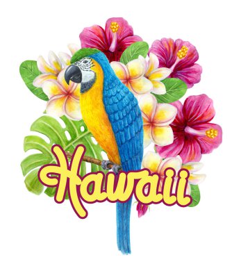 Tropikal çiçek buketli papağan Ara, frangipani, canavar yaprağı palmiyesi yeşilliği. Egzotik çiçek kompozisyonu, yaprakların suluboya resmi, çiçekler ve mavi-sarı papağan..