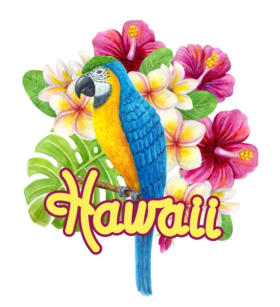 Tropikal çiçek buketli papağan Ara, frangipani, canavar yaprağı palmiyesi yeşilliği. Egzotik çiçek kompozisyonu, yaprakların suluboya resmi, çiçekler ve mavi-sarı papağan..