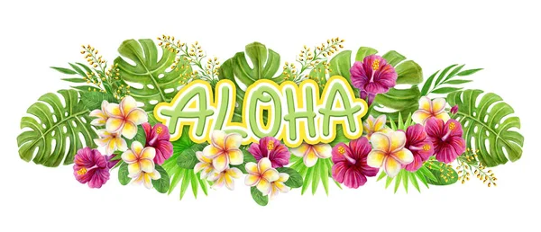 Saluto Aloha Hawaii Pittura Acquerello Disegnato Mano Con Rosa Fiori — Foto Stock