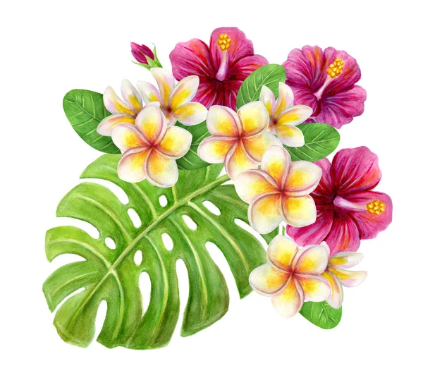 Tropical bouquet of hibiscus roses, frangipani and monstera palm leaf. Exotic floral composition hand drawn watercolor painting of natural leaves and flowers isolated on white.