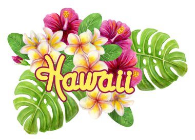 Hawaii art decor. Hand drawn hawaiian watercolor painting with pink Hibiscus rose frangipani flowers and palm leaf isolated on white background. Tropical floral summer bouquet. Design element.