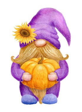 Gnome with pumpkin and sunflower. Thanksgiving or Harvest Day card design. Watercolor drawing. Garden gnome isolated on white background.