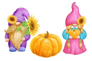Gnomes with pumpkin and sunflowers. Thanksgiving or Harvest Day card design. Watercolor drawing. Garden gnome isolated on white background.