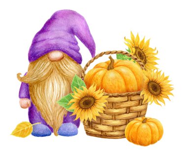 Gnome with pumpkin and sunflowers in basket isolated on white background. Thanksgiving or Harvest Day card design. Watercolor drawing.