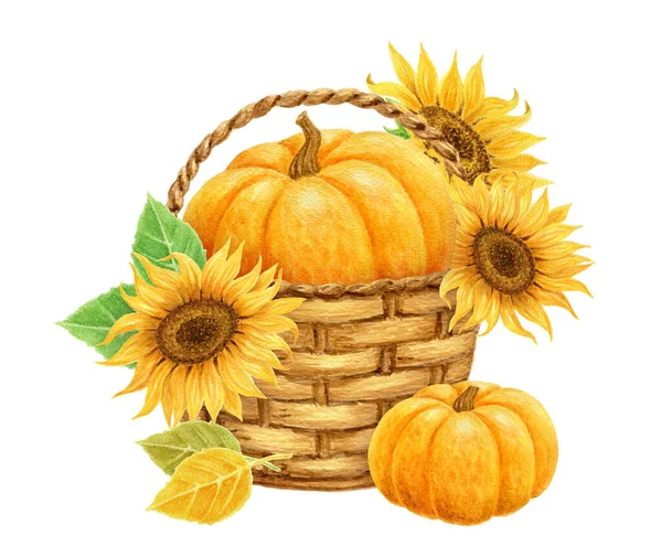 Pumpkin Sunflowers Basket Yellow Leaves Isolated White Background Thanksgiving Harvest — Stock Photo, Image