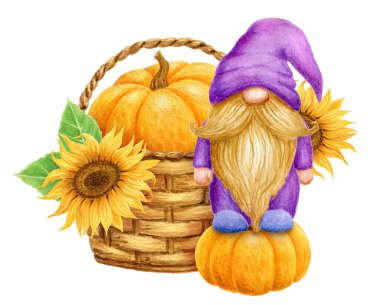 Gnome with pumpkin and sunflowers in basket isolated on white background. Thanksgiving or Harvest Day card design. Watercolor drawing.