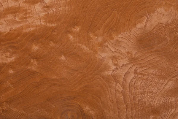 Textura madera — Foto de Stock