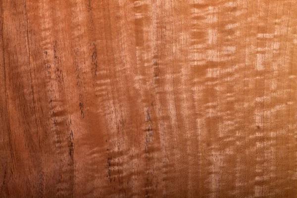 Wood texture — Stock Photo, Image