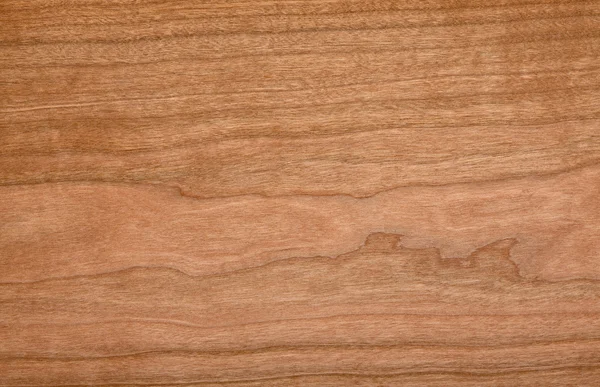 Textura madera — Foto de Stock