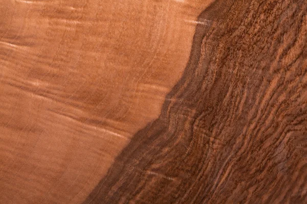 Struttura del legno — Foto Stock