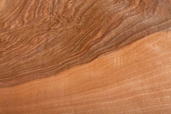 Дерево текстури — стокове фото