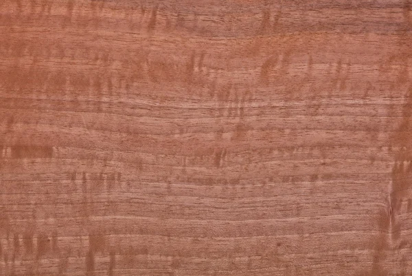 Textura madera — Foto de Stock