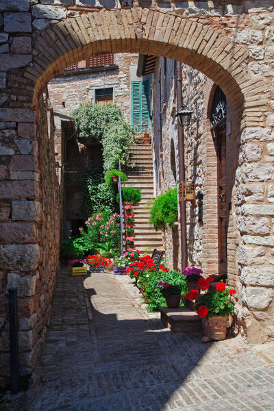 View of spello medieval town in italy