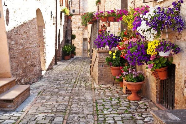 Vista de spello cidade — Fotografia de Stock