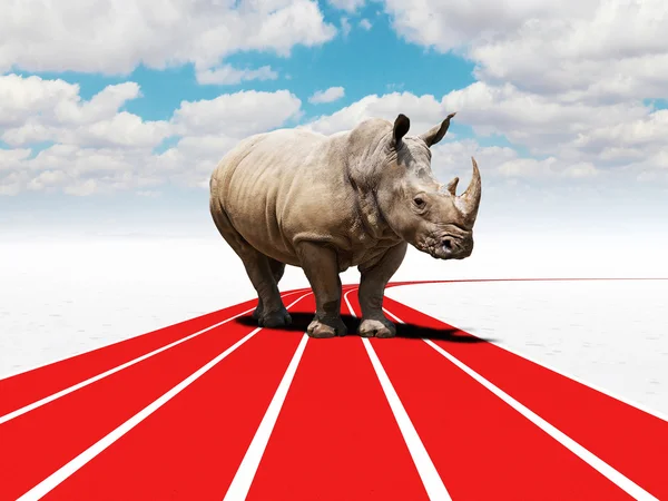 Desafío rinoceronte — Foto de Stock