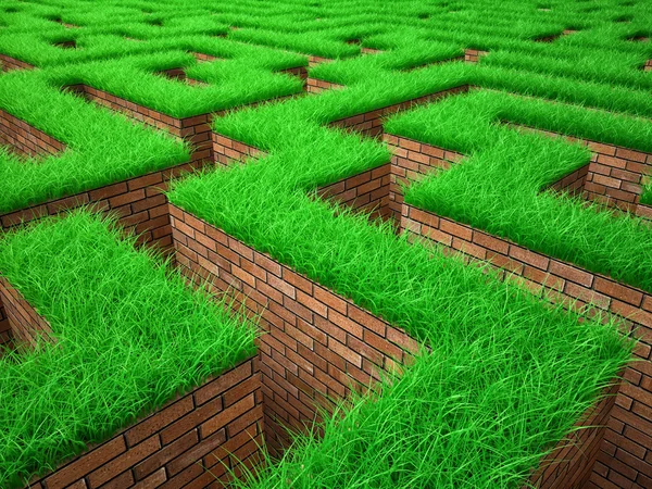 Green labyrinth — Stock Photo, Image